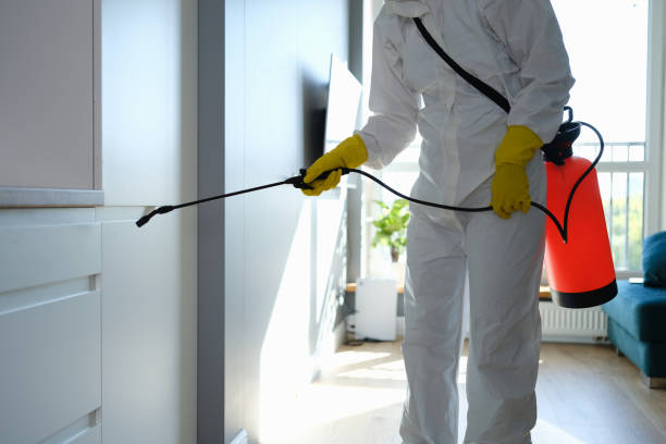 Best Crawl Space Mold Removal  in Hannahs Mill, GA
